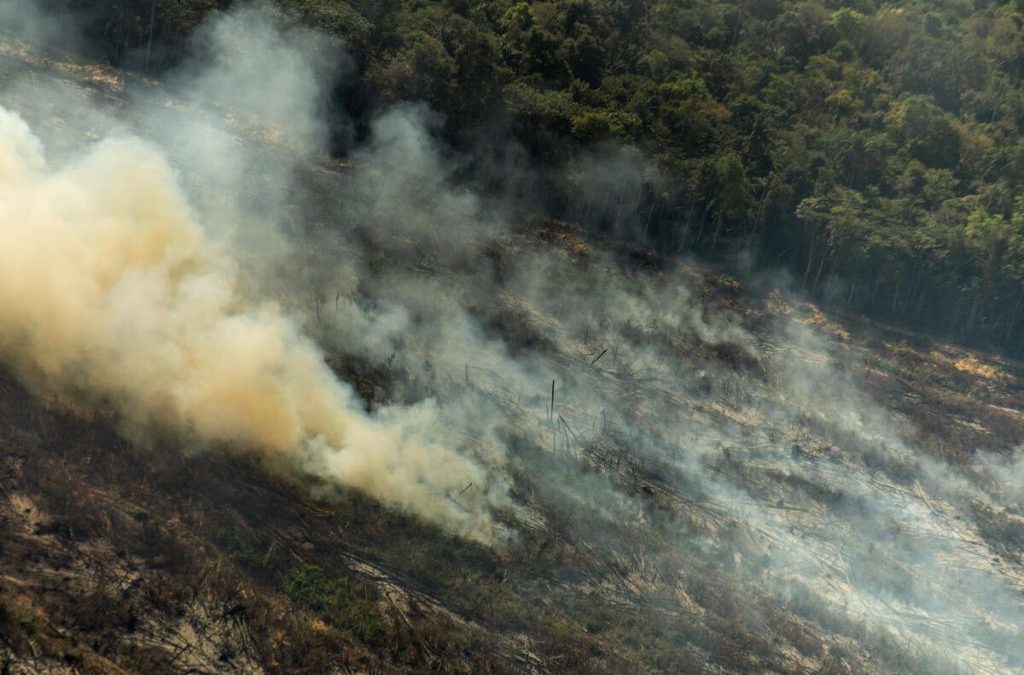 AMAZÔNIA NOTÍCIA E INFORMAÇÃO: Sociedade Civil apresenta 5 medidas emergenciais para combater o desmatamento na Amazônia