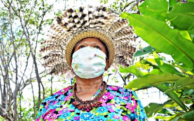 SENADO: Atingidos pela pandemia, indígenas contam seus mortos e acusam governo de omissão