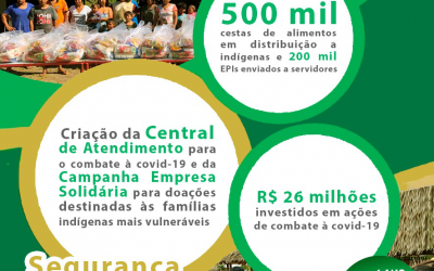 FUNAI: Garantia da segurança alimentar dos indígenas marca atuação da Funai no combate à covid-19