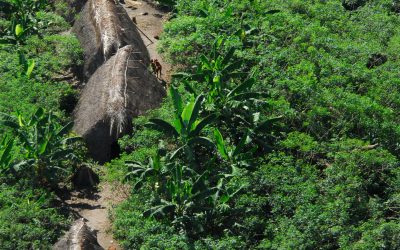 CPI-AC: Sem medidas de proteção, contato de indígenas isolados no Acre pode ser fatal