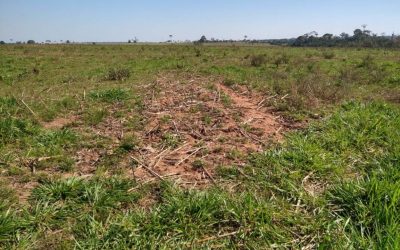 AMAZÔNIA NOTÍCIA E INFORMAÇÃO: Pecuarista indiciado por dano a geoglifo acumula multas ambientais