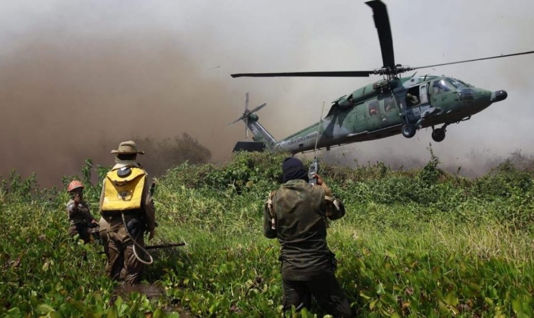 DEFESA: Forças Armadas apoiam combate a focos de queimadas no Pantanal