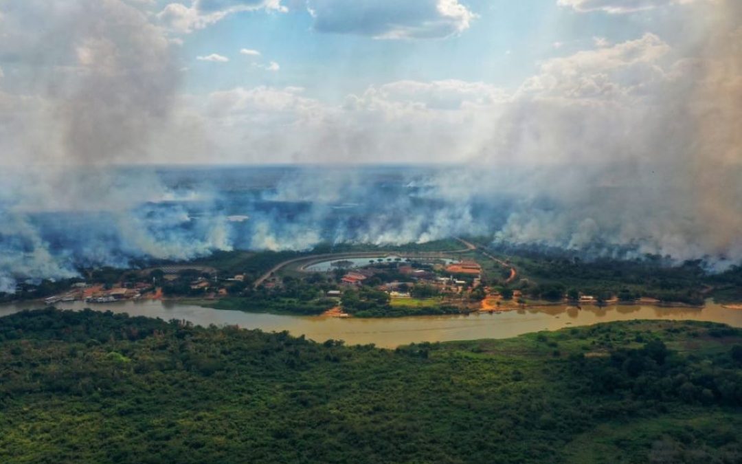 AMAZÔNIA NOTÍCIA E INFORMAÇÃO: Sesc Pantanal desmente em nota discurso de fazendeiro ouvido por Salles