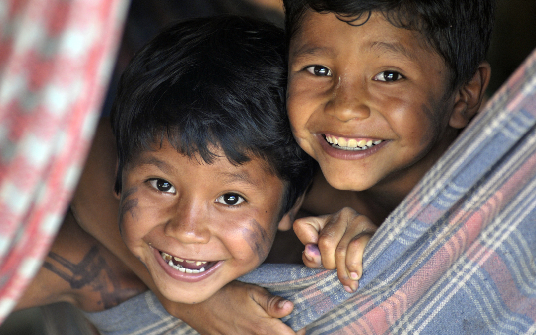 FUNAI: Funai avança em tratativas de licenciamento ambiental para garantia dos direitos indígenas