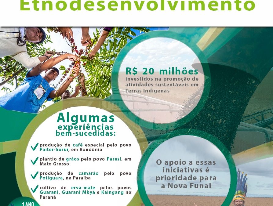 FUNAI: Funai destina R$ 20 milhões para promoção de atividades sustentáveis em Terras Indígenas