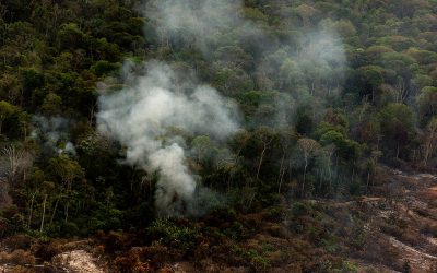 GREENPEACE: Focos de calor batem novos recordes na Amazônia em julho