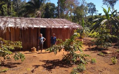 CIMI: Com apoio de organizações e pastorais, justiça suspende despejo no Acampamento Sebastião Bezerra, no Tocantins
