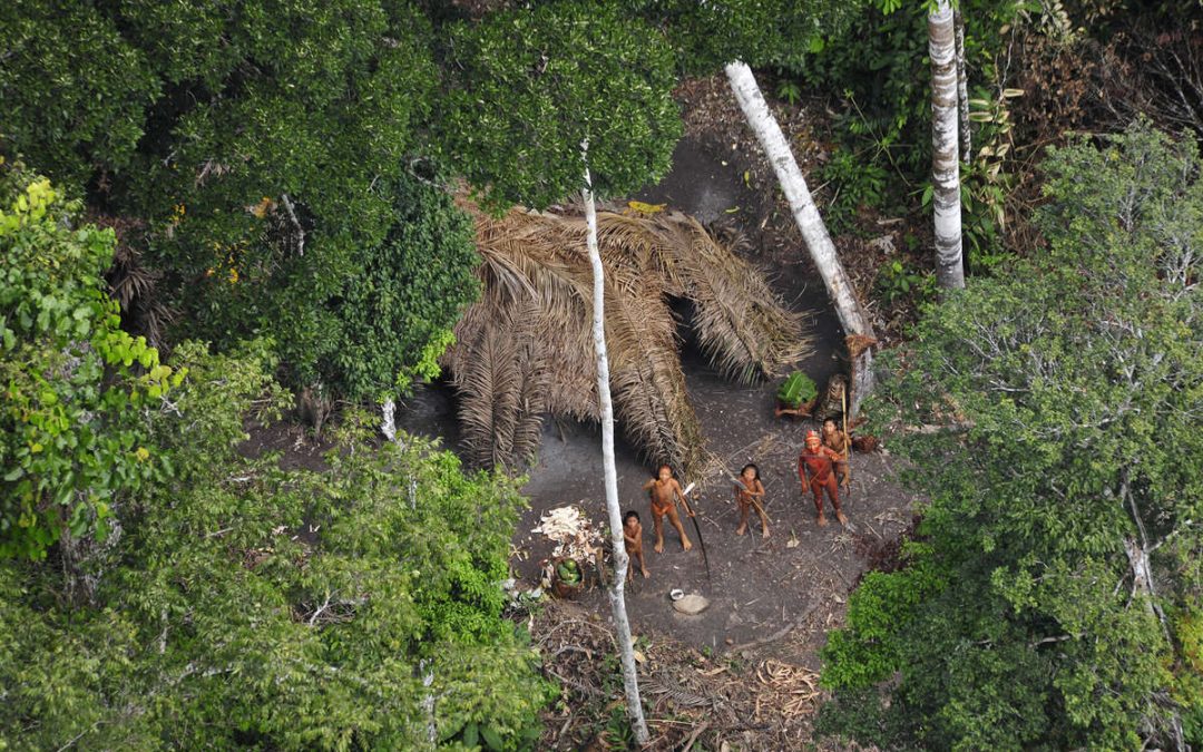 SURVIVAL: Perigo na Amazônia: indígenas isolados emergem de floresta no Acre