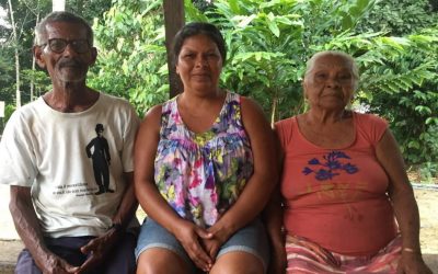 CIMI: Dona Domingas Damásio, anciã tupinambá, morre vítima de covid-19