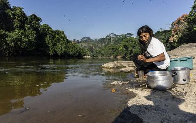 GREENPEACE: Arandu: temos muito o que aprender com a sabedoria indígena