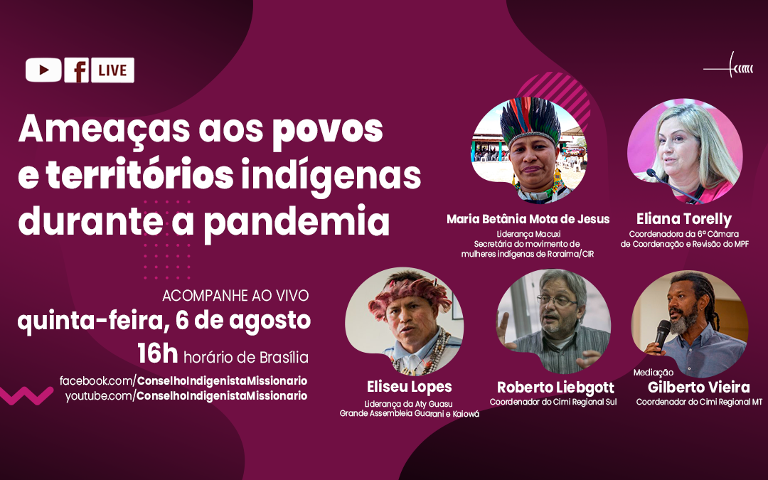 CIMI: Live debate ameaças aos povos e territórios indígenas durante a pandemia