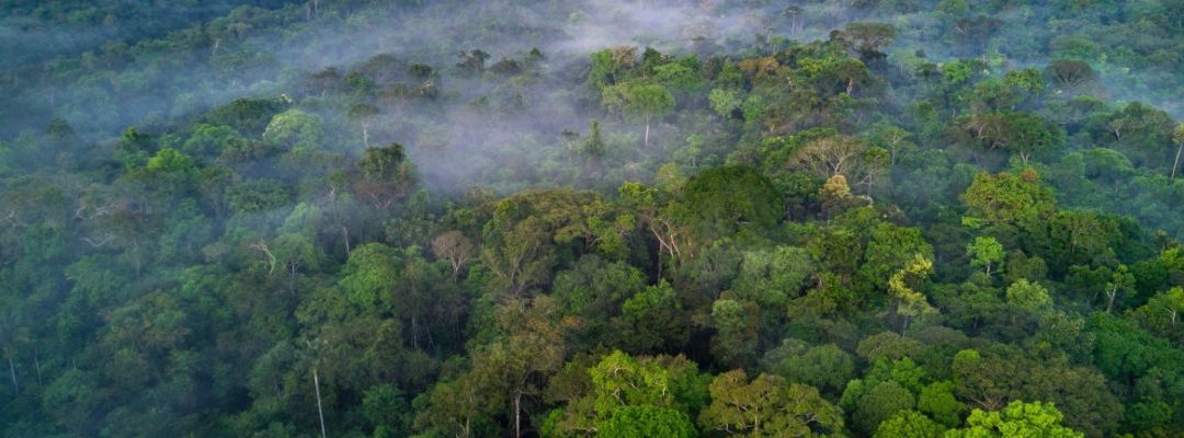 KANINDÉ: DRONES AUXILIAM NO MONITORAMENTO DE ÁREAS REMOTAS DA AMAZÔNIA