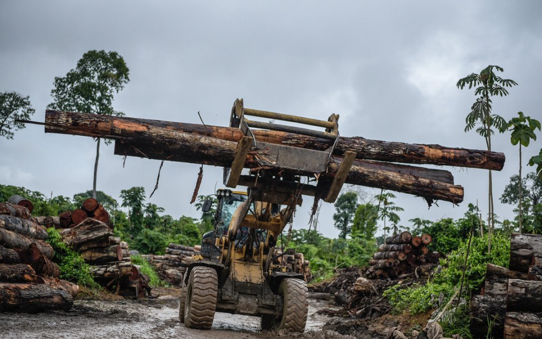 AGÊNCIA PÚBLICA: Governo Bolsonaro reduz multas em municípios onde desmatamento cresce