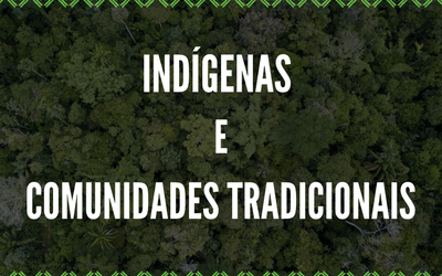 MPF: MPF quer proteção de indígenas e ribeirinhos por meio de atuação da Polícia Federal na região do rio Abacaxis (AM)