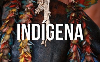 MPF: MPF recorre a Tribunal para garantir direito de manifestação de indígenas Kayapó no Pará