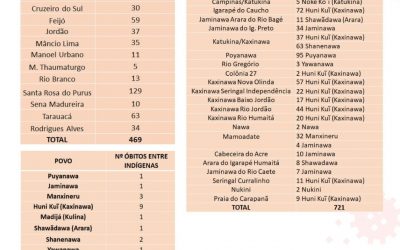 CPI-ACRE: Casos de Covid-19 no Acre e Terras Indígenas