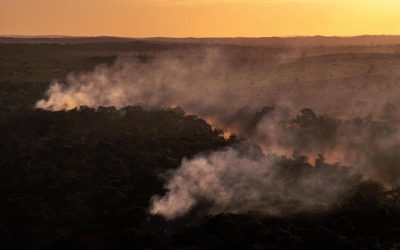 AMAZÔNIA NOTÍCIA E INFORMAÇÃO: Julho tem aumento de quase 30% no número de queimadas na Amazônia e num único dia recorde dos últimos 15 anos