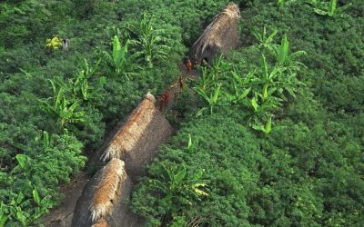 APIB: NOTA DO OPI SOBRE SITUAÇÃO DE CONTATO COM ÍNDIOS ISOLADOS NO ACRE
