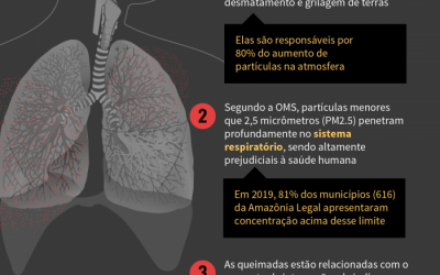 ISA: Fumaça de incêndios impulsiona internações de indígenas, mostra estudo