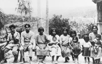 ISA: Após pressão, Dória volta atrás e desiste de extinção de Fundação Florestal