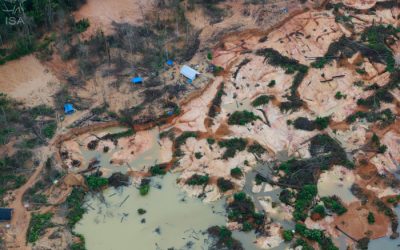 ISA: “Agora apareceram os rastros do comedor de coração, do comedor de pulmão”