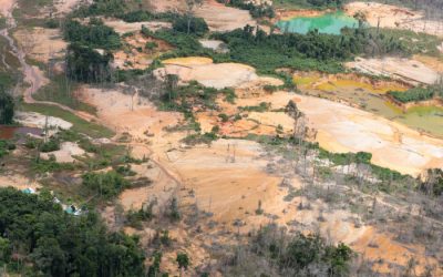 ISA: A posição do STF sobre retirada de garimpeiros da Terra Indígena Yanomami: o que ficou decidido?