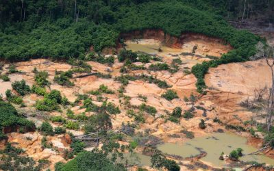 FOLHA DE SÃO PAULO: Nova corrida do ouro movimenta o mercado de mercúrio em Roraima