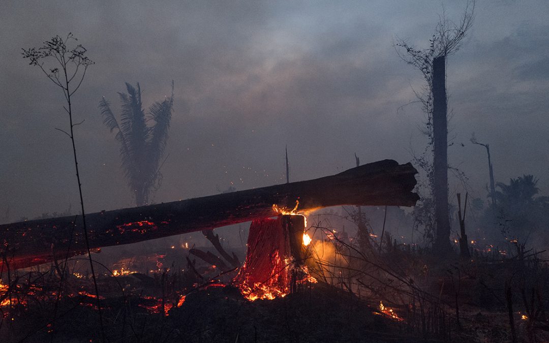 ANISTIA INTERNACIONAL: Novas queimadas na floresta detectadas antes do Dia da Amazônia alcançam número assustador