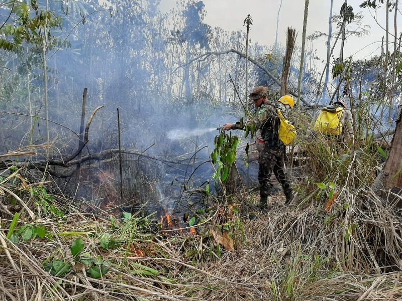 DEFESA: Forças Armadas combatem focos de incêndio na Floresta Nacional e em terras indígenas