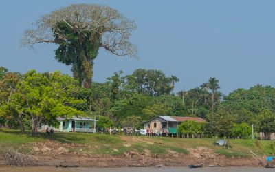 GREENPEACE: “Os indígenas se recusam a morrer”