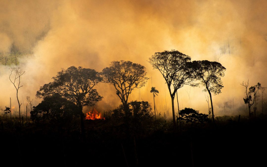 AMAZÔNIA NOTÍCIA E INFORMAÇÃO: Como os indígenas no Brasil têm se organizado para monitorar o aumento de incêndios em seus territórios