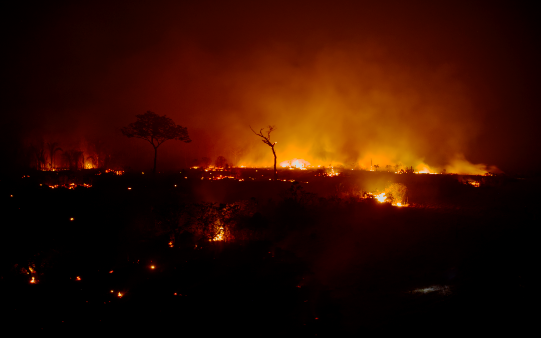 CTI: Organizações de três países denunciam queimadas e desmatamento em territórios de povos isolados