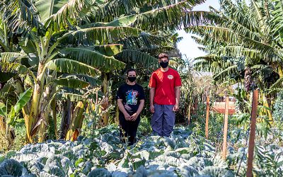 BRASIL DE FATO: Centro de Agroecologia entregará alimentos e produtos de proteção a indígenas do PR