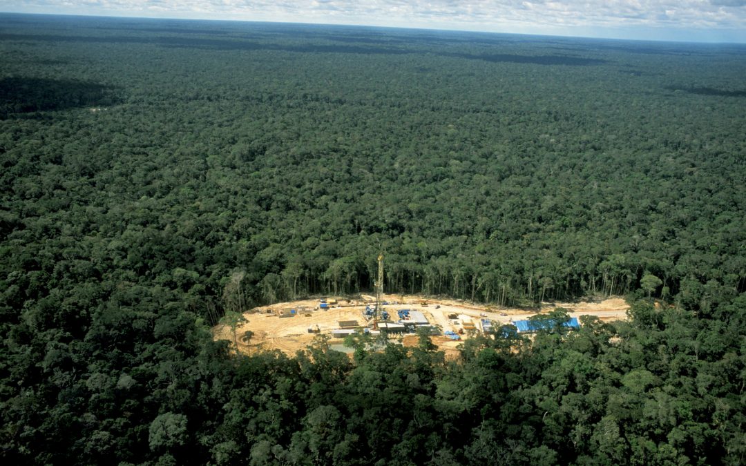 AMAZÔNIA REAL: Região Trans-Purus, a última floresta intacta: 5 – A ameaça do gás e petróleo