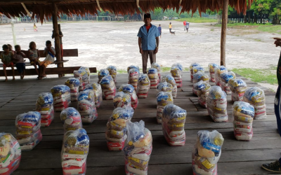 FUNAI: Covid-19: Chega a 414 mil o número de cestas básicas distribuídas pela Funai; veja vídeo