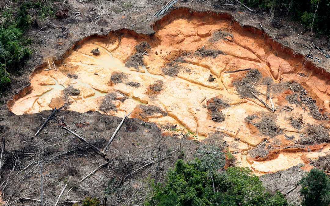 AMAZÔNIA REAL: O inferno dos garimpos