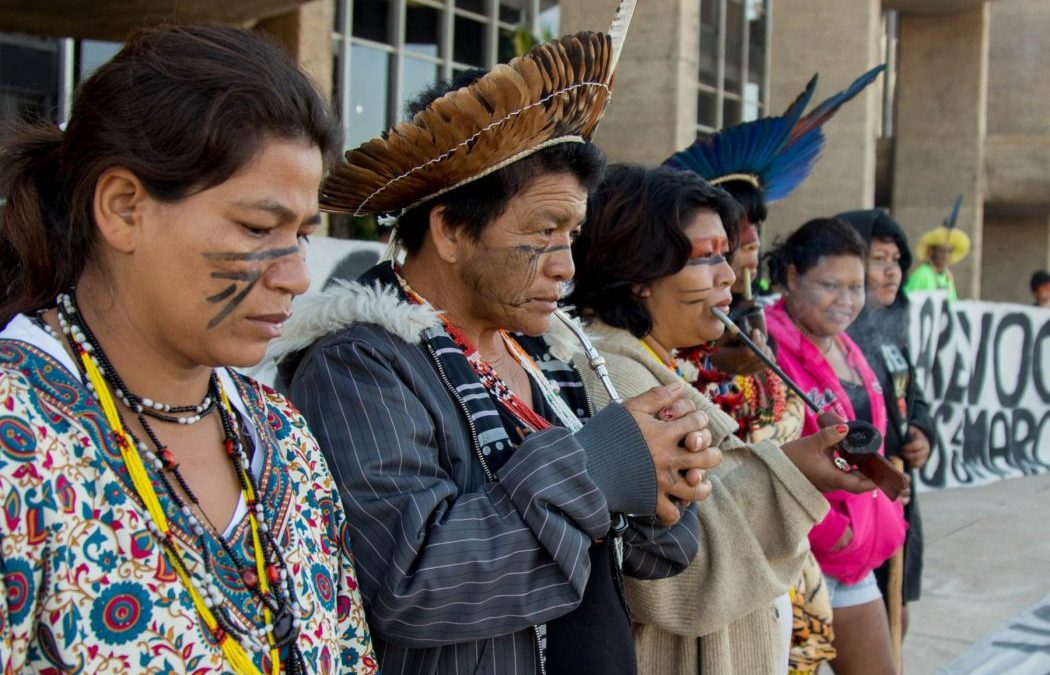 CIMI: Contra devastação, indígenas querem lei para proteger Mata Atlântica na capital paulista