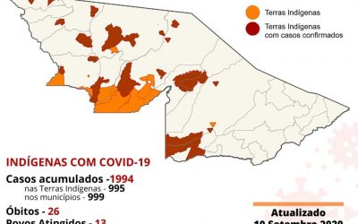 CPI-ACRE: Monitoramento da COVID-19 entre indígenas no Acre