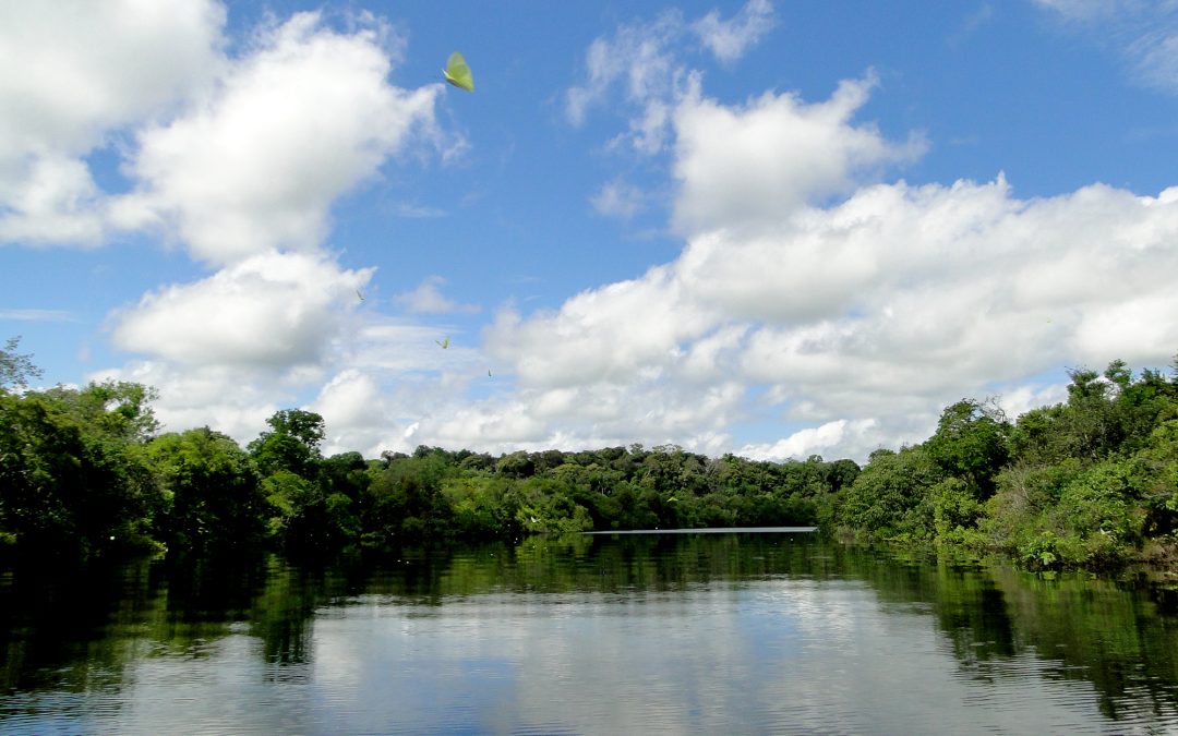AMAZÔNIA REAL: Região Trans-Purus, a última floresta intacta: 3 – A ameaça da rodovia AM-366