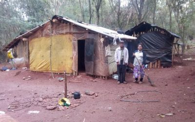 CIMI: Com uso de tese anti-indígena, UHE Itaipu sofre derrota no STF e suspensão de despejos de aldeias Avá-Guarani é mantida