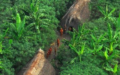 MPF: MPF recomenda que comitiva trazida por coordenação da Funai não entre em terra indígena do AM sem quarentena