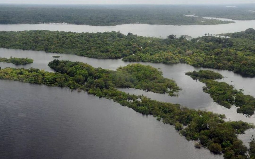 AMAZÔNIA NOTÍCIA E INFORMAÇÃO: Pandemia reduz em 66% faturamento do turismo no Amazonas