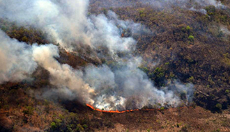 STF: PT pede envio de pessoal e recursos para o combate de queimadas no Pantanal e na Amazônia