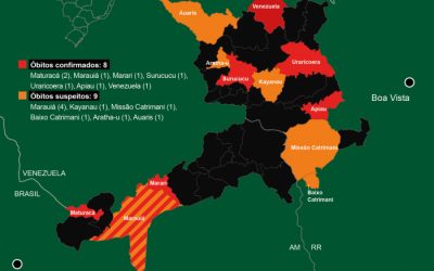 ISA: Rede Pró-Yanomami e Ye’kwana denuncia subnotificação de mortos e contaminados pela Covid-19