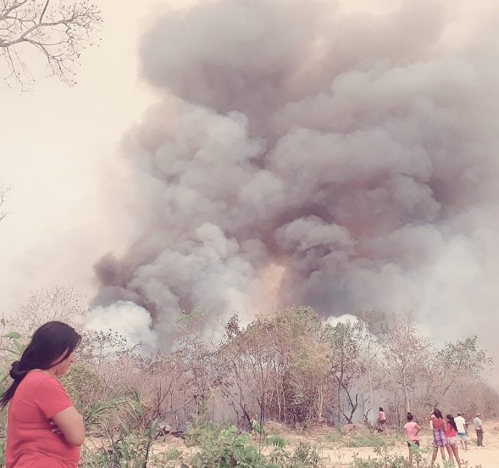 DE OLHO NOS RURALISTAS: Idosos, grávidas e crianças Bororo são retirados de aldeia diante de incêndio no Pantanal
