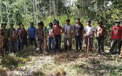 BRASIL DE FATO: “Guardiões da floresta” encontram fazenda de gado dentro de território indígena no MA