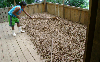 FUNAI: Covid:19 Funai investe R$ 10,4 milhões na sustentabilidade econômica das comunidades indígenas