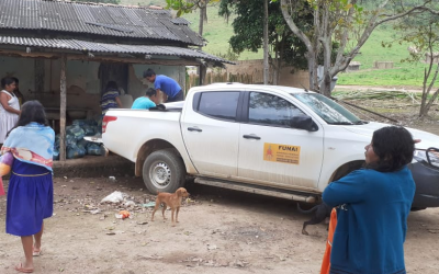 FUNAI: Covid-19: Funai distribui 18,2 mil cestas básicas para famílias indígenas mineiras e capixabas