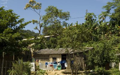 ISA: Quilombolas do Ribeira acionam Justiça para obrigar estado de SP a agir contra pandemia