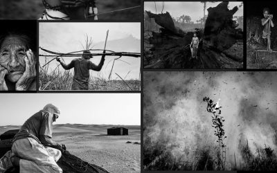 AMAZÔNIA REAL: A fotografia se reinventa e se une na pandemia